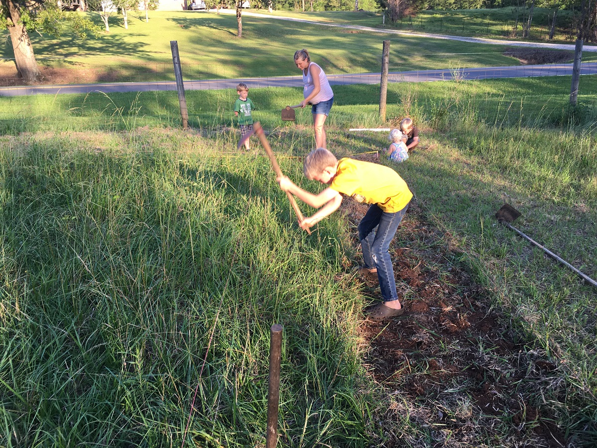 Planting a Well-Watered Garden