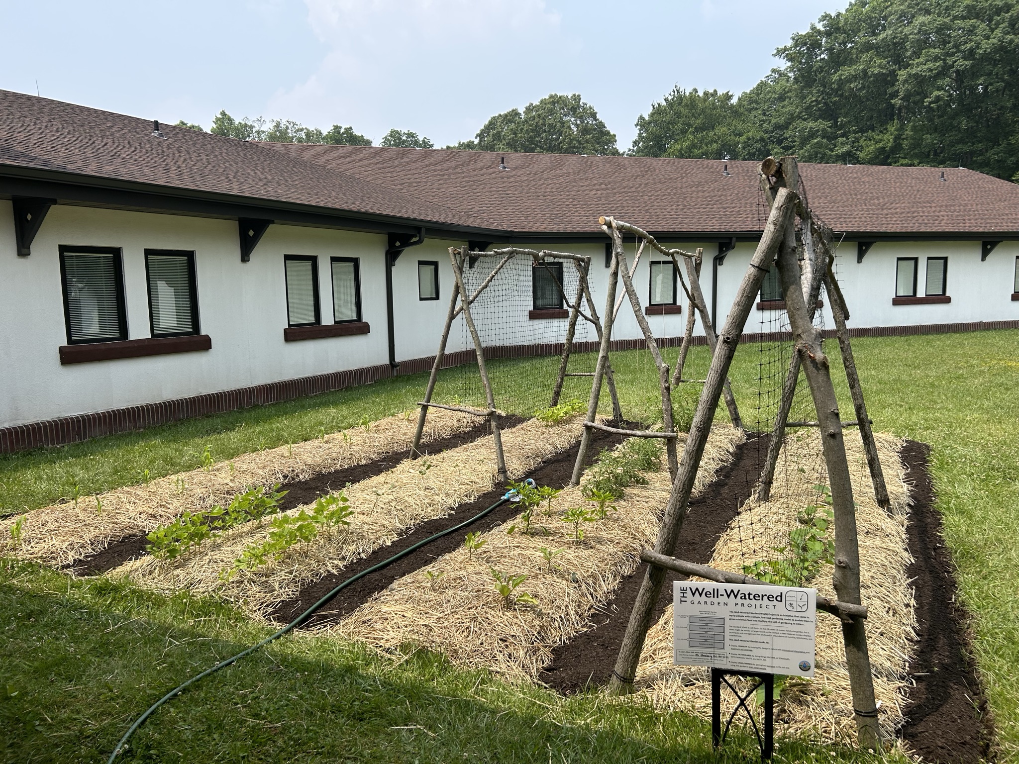 A Well-Watered Garden with hand-built trellises and WWG sign