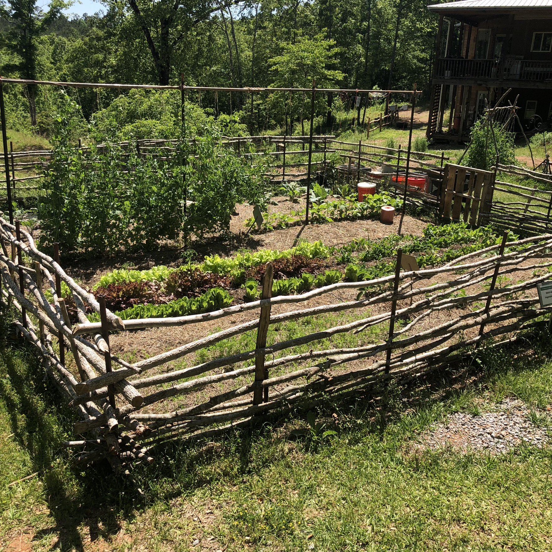 A Well-Watered Garden at Rora Valley Farms — mulched beds, rustic fence, and summer harvest