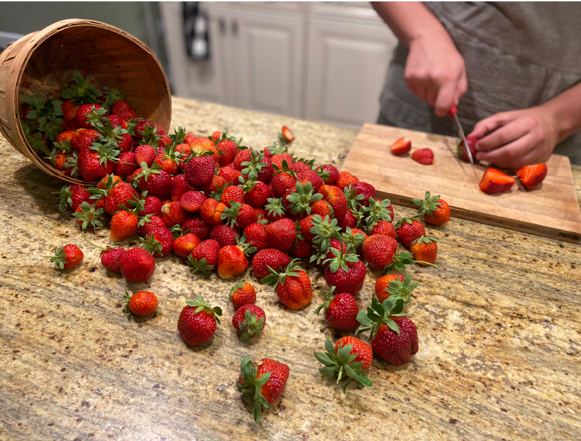 Strawberry harvest